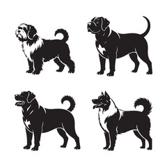 Clam and Oyster Shell Icons in Black and White