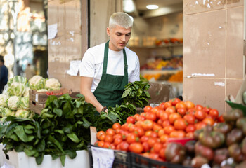 Young guy seller in apron puts fresh spinach on display at vegetable market