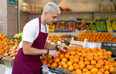 Working in supermarket - male salesman sorts through ripe tangerines on the display case