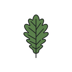 Simple Green Oak Leaf Vector Illustration with Black Outline
