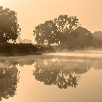 Calm riverside scene with foggy morning atmosphere
