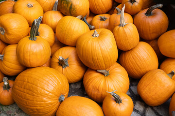 Vibrant orange pumpkins of various sizes are stacked together in a rustic setting, showcasing their smooth textures and natural beauty, perfect for autumn harvest themes