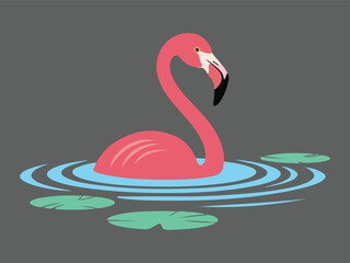 Pink Flamingo Swimming or Wading with Lily Pads