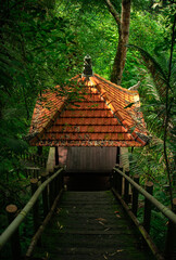 Steep stairs leading down to a small gazebo surrounded by lush tropical jungle at Nungnung Waterfall, Bali.
