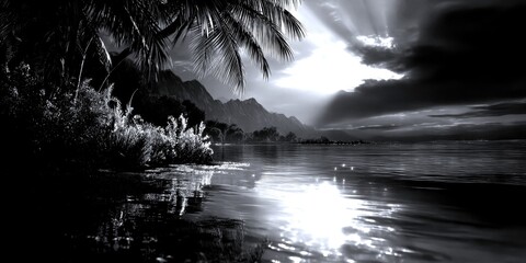 Serene night at the tropical beach with glowing water and moonlit sky
