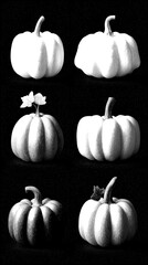 Various types of pumpkins displayed artistically on a background during the autumn season