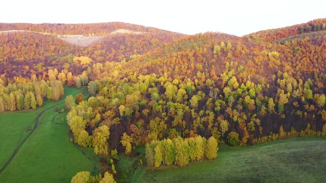 Aerial footage capturing the vibrant autumn landscape of the Republic of Bashkortostan in the South Ural Mountains of Russia. The scene showcases rolling hills and valleys covered in a dense forest di