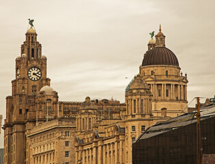 A view of the Liver Birds on top of the Liver Building, Liverpool