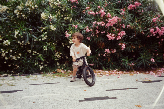 Todder On A Balance Bike
