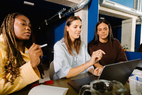 Female entrepreneurs working in a collaborative business environment