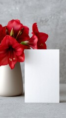 White blank card mockup on a grey table with red amaryllis flower in Christmas setting