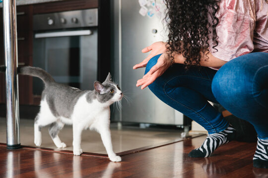Cat Approaching Woman Indoors