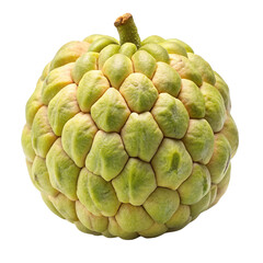 Fototapeta premium A ripe custard apple fruit with a textured green exterior isolated on transparent background
