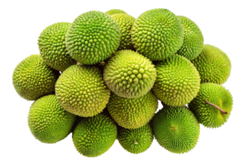 A vibrant cluster of spiky green unripe jackfruit piled together isolated on transparent background