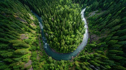 A picturesque view captures a river meandering through a dense forest. Sunlight illuminates the rich greenery showcasing the beauty of nature in a tranquil setting.