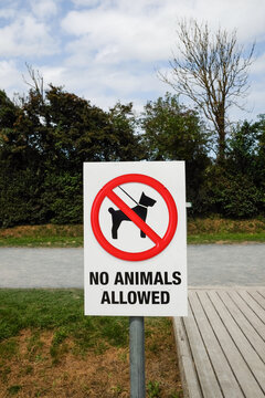 No Animals Allowed Sign