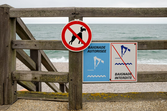 No Dogs Beach Sign