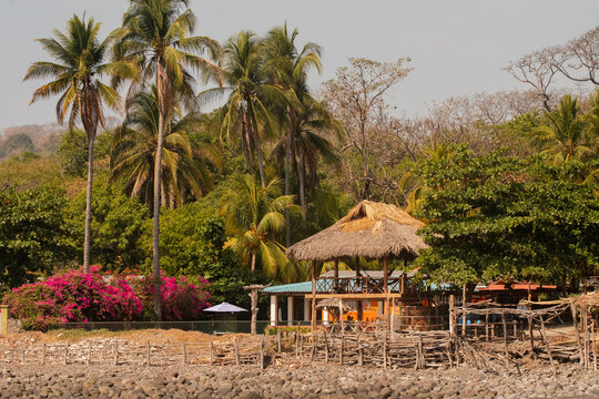 Tropical Beach Hut Among Palm Trees
