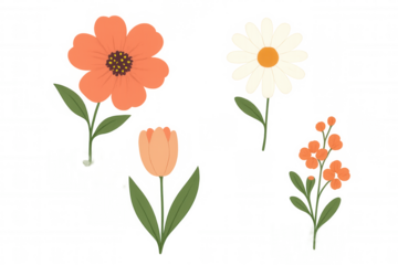 Floral illustration set featuring spring blooming orange, peach, and white flowers with green leaves on transparent background