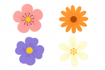 Colorful botanical flowers illustration set with simple floral vector elements, celebrating nature and spring blooming