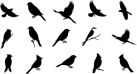 Black bird silhouettes collection. Vector graphic set of various bird species, flying and perched, isolated on a white background. Nature and wildlife icons.