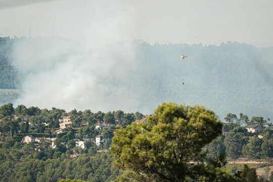 extinguishing a forest fire
