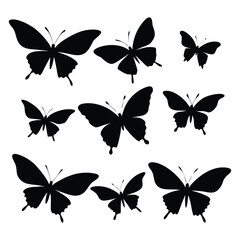 Flying Butterflies Silhouette Set on White Background