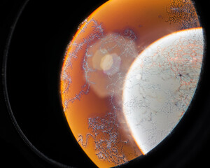 Abstract planet-like shapes with glowing veins