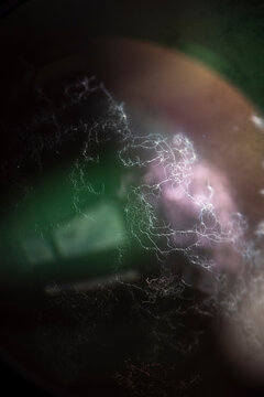 Macro of colorful fibers and lights on dark surface