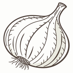 Vector art of a simple line drawing of a garlic bulb isolated on a, with a light grey fill