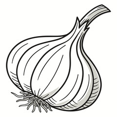 Vector art of a simple black and white line drawing of a garlic bulb with roots and stem
