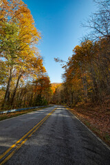 Obraz premium A scenic rural road winds through hills, lined with vibrant autumn trees. Sunshine illuminates the landscape, creating a beautiful seasonal backdrop.