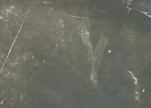 Vintage grunge paper texture transparent. Old worn overlay distressed background. Torn and crumpled surface. Vintage scratched grunge effect for design.