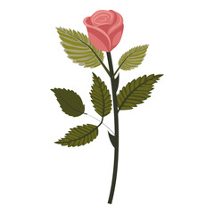 Dusty pink rose. Cute flower on a slightly inclined stem. Vector illustration isolated on white background.