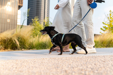 Couple enjoying walk with black dog in urban center