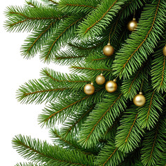 Close-up of evergreen tree branches with golden ornaments, holiday decor