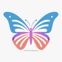 Naklejka premium Colorful blue and orange butterfly with abstract patterns in bright studio