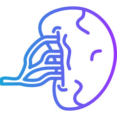 Spleen line gradient icon