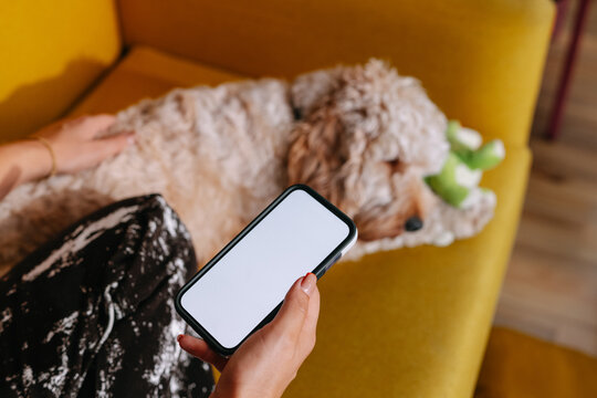 Mockup up phone in hands