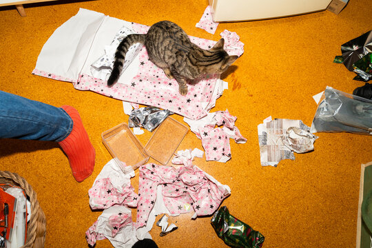 Cat Christmas Gifts