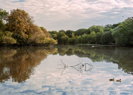 Epping Forest lake area with bright sunlight