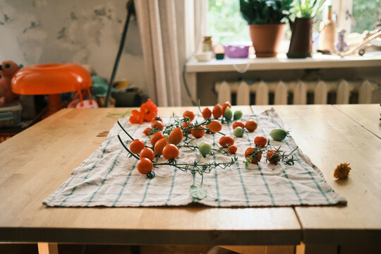 Drying fresh tomatoes and flowers in a cozy kitchen environment