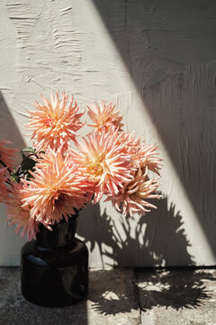 Flowers in a Black Vase Cast Soft Shadows on a Textured Wall
