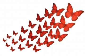 Red butterflies flying, symbolizing freedom, transformation, change, and new beginnings on transparent background