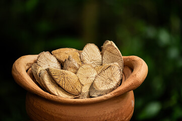 Capparis micracantha DC.dried slices on natural background.