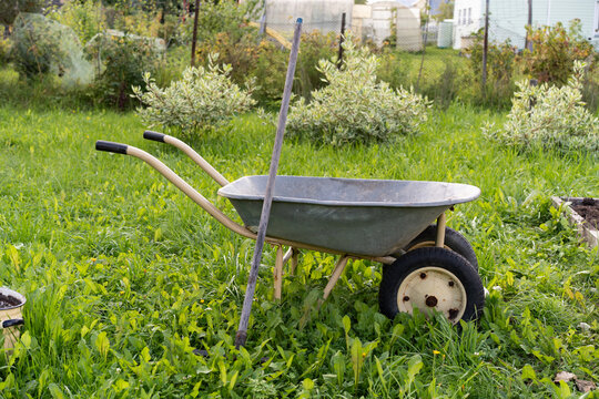 Old wheelbarrow and hoe in grassy garden
