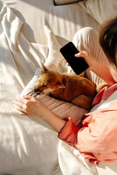 Dog Sleeping on Lap While Woman Using Smartphone
