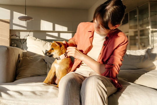 Puppy Wearing GPS Tracker Collar