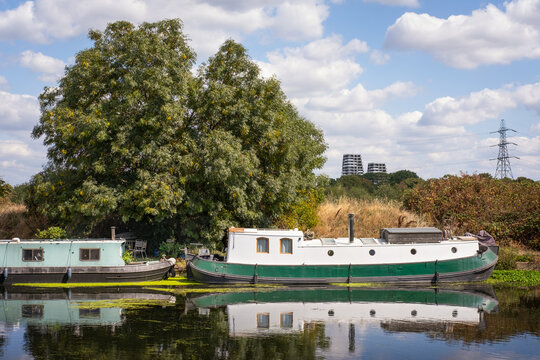 Canal bots on a river