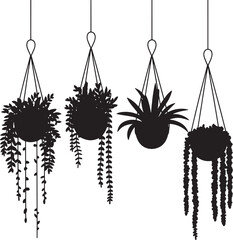 Four black silhouette hanging potted plants with trailing vines and leaves on white background hanging plants